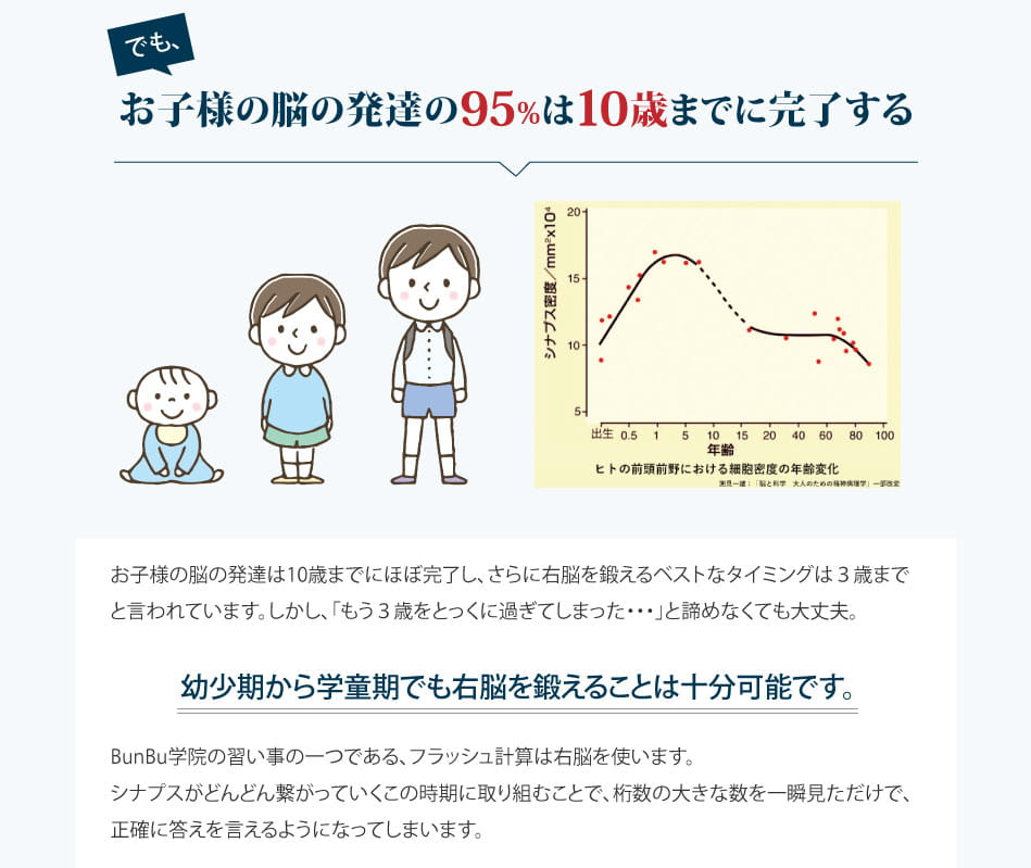 お子様の脳の発達の95％は10歳までに完了する