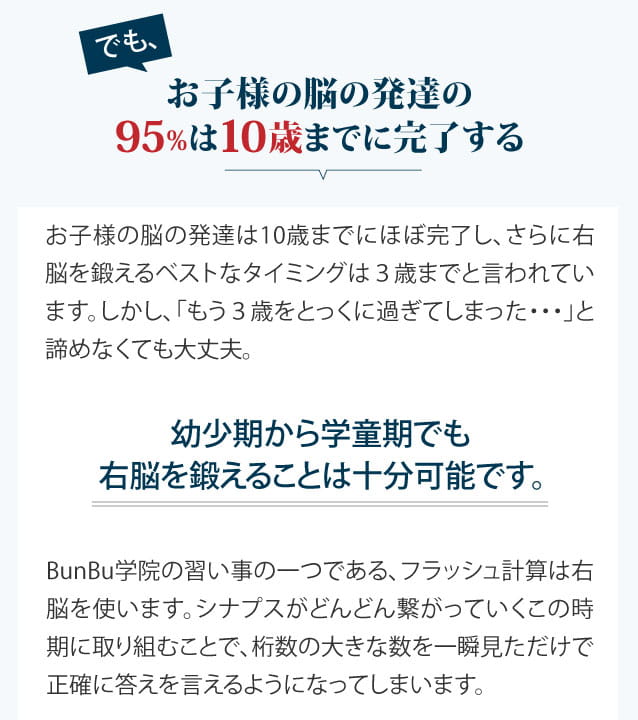 お子様の脳の発達の95％は10歳までに完了する
